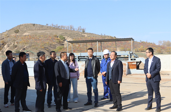 党委书记、董事长刘卫东前往大兴场站举行项目调研.jpg